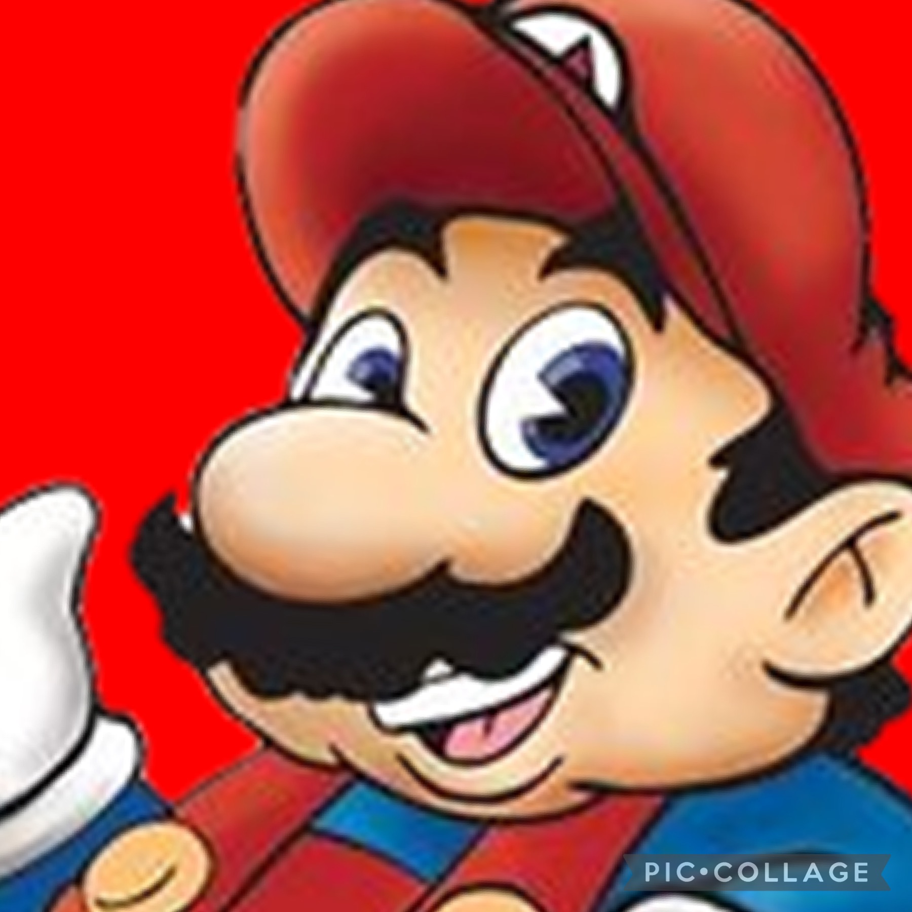 The Super Mario Bros. Super Show!